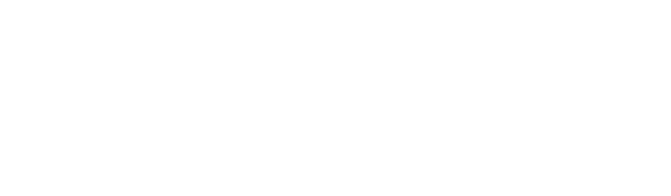 MSM